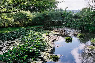 Normandie Jardins - pays de loire Normandie Jardins