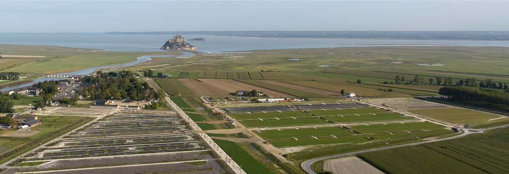 mont saint michel msm